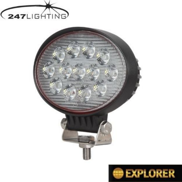 Picture of 6" LED Oval Explorer Work Lamp